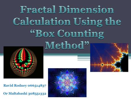 Ravid Rodney 066514837 Or Maltabashi 308551332. Outlines What is Fractal? History Fractal dimension Box Counting Method Fractal dimension Calculations: