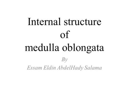Internal structure of medulla oblongata