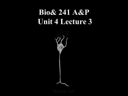 Bio& 241 A&P Unit 4 Lecture 3.