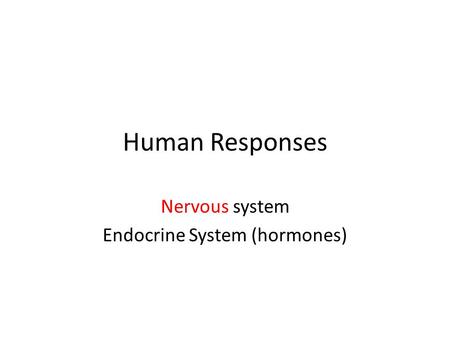 Human Responses Nervous system Endocrine System (hormones)
