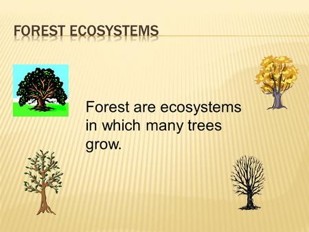 Forest are ecosystems in which many trees grow..