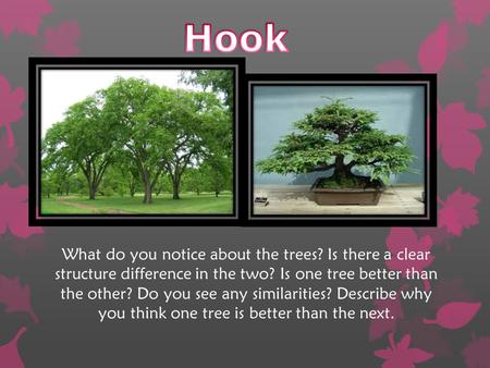 Hook What do you notice about the trees? Is there a clear structure difference in the two? Is one tree better than the other? Do you see any similarities?