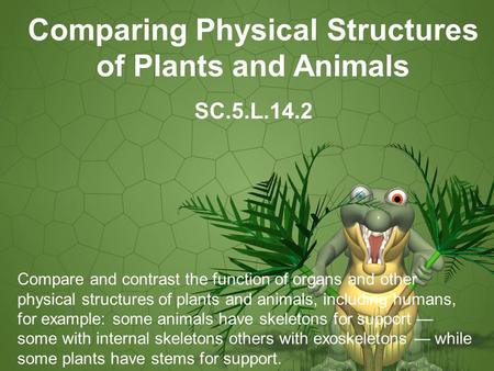 Comparing Physical Structures of Plants and Animals