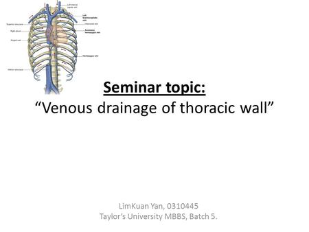 Seminar topic: “Venous drainage of thoracic wall”