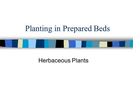 Planting in Prepared Beds Herbaceous Plants. When to Plant Annuals  Plant annuals in the spring after the threat of frost has passed.  Around mid-May.