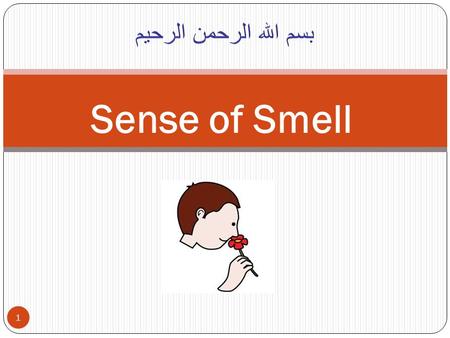 1 Sense of Smell. Smell (=Olfaction) 2 Normal individual can discriminate more than 10.000 odors, but not highly developed in human as in some animals.