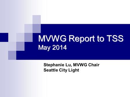 MVWG Report to TSS May 2014 Stephanie Lu, MVWG Chair Seattle City Light.