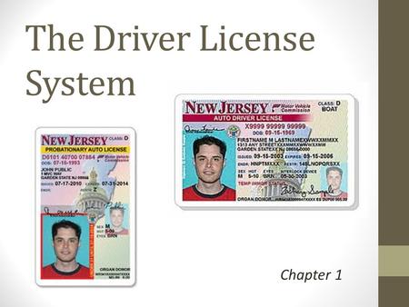 The Driver License System