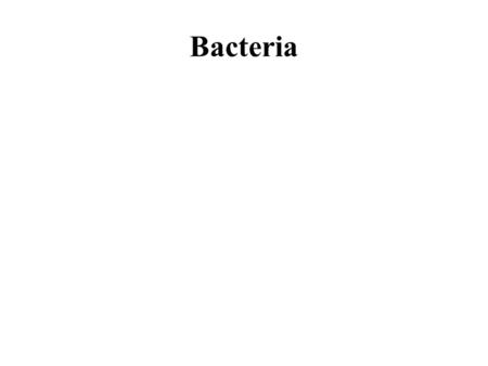 Bacteria. I.General Characteristics A.Single-celled; no nucleus or complex organelles What do we call this type of organism? B.Earliest known life forms.