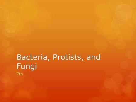 Bacteria, Protists, and Fungi