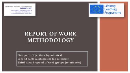 First part: Objectives (15 minutes) Second part: Work groups (20 minutes) Third part: Proposal of work groups (10 minutes) REPORT OF WORK METHODOLOGY.