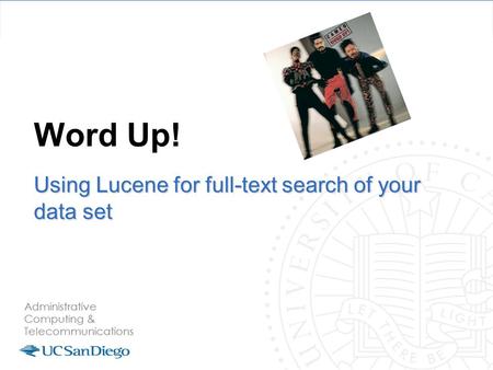 Word Up! Using Lucene for full-text search of your data set.