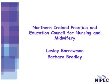 Northern Ireland Practice and Education Council for Nursing and Midwifery Lesley Barrowman Barbara Bradley.