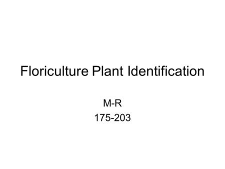 Floriculture Plant Identification M-R 175-203. 175 Marnata leuconeura var. kerchoviana Prayer Plant Other names: rabbit tracks Colors: light & dark green.