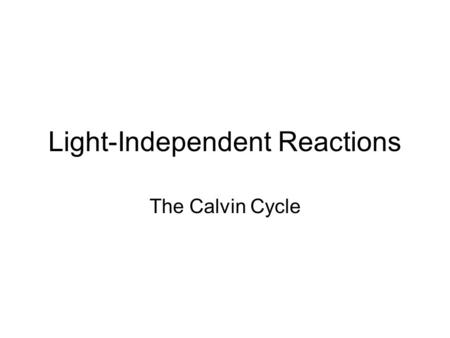 Light-Independent Reactions The Calvin Cycle. Calvin Cycle occurs in the stroma 3 phases –carbon fixation –reduction reactions –RuBP regeneration.