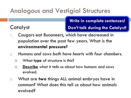 Analogous and Vestigial Structures