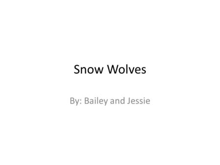 Snow Wolves By: Bailey and Jessie. Today me and Jess are going to tell you about the fearsome creatures… Wolves. Many people think that wolves are vicious.