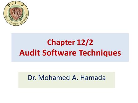 Chapter 12/2 Audit Software Techniques