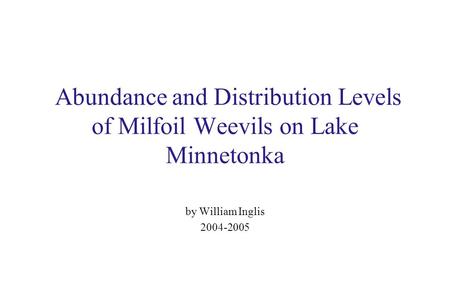 Abundance and Distribution Levels of Milfoil Weevils on Lake Minnetonka by William Inglis 2004-2005.