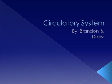 Circulatory System By: Brandon & Drew.