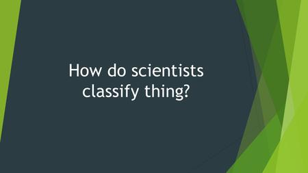 How do scientists classify thing?. By sorting them into groups.