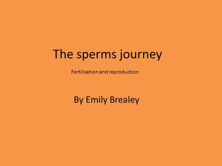 The sperms journey By Emily Brealey Fertilisation and reproduction.