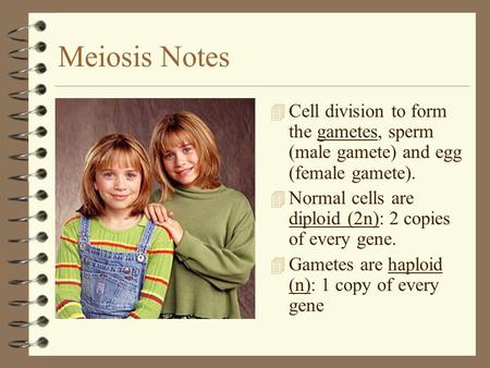 Meiosis Notes Cell division to form the gametes, sperm (male gamete) and egg (female gamete). Normal cells are diploid (2n): 2 copies of every gene. Gametes.