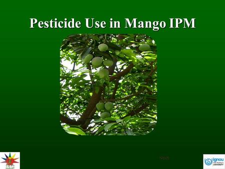 Pesticide Use in Mango IPM