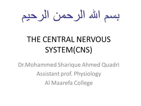 THE CENTRAL NERVOUS SYSTEM(CNS)