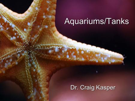 Aquariums/Tanks Dr. Craig Kasper. Many people have owned or will own a fish tank (it may even contain fish)Many people have owned or will own a fish tank.