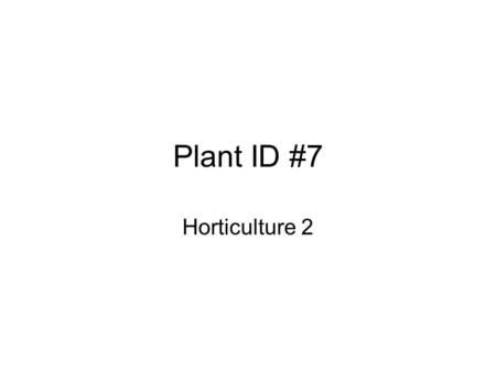 Plant ID #7 Horticulture 2.