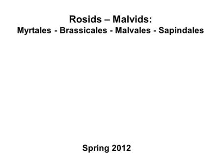 Rosids – Malvids: Myrtales - Brassicales - Malvales - Sapindales