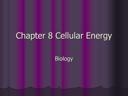 Chapter 8 Cellular Energy