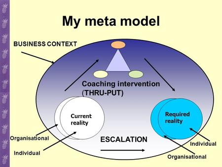 My meta model Current reality Required reality Coaching intervention (THRU-PUT) ESCALATION BUSINESS CONTEXT Individual Organisational Individual.