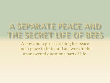A boy and a girl searching for peace and a place to fit in and answers to the unanswered questions part of life.