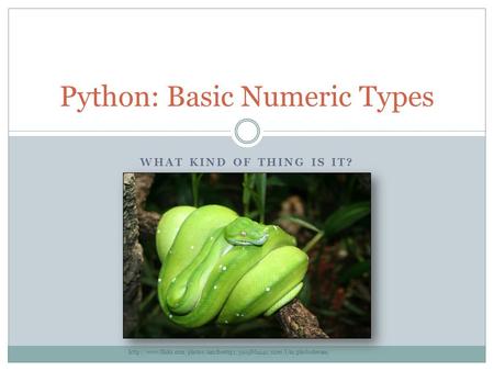 WHAT KIND OF THING IS IT? Python: Basic Numeric Types