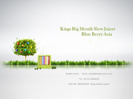 Kings Big Mouth Slow Juicer Blue Berry Asia BlueBerryAsia -   Tel.: +91-11-30446318 Mob:+91- 9891183350 Skype:blueberryasia2.