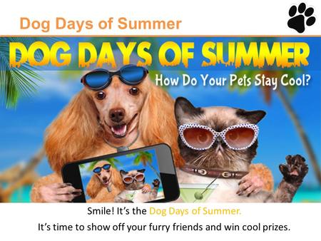 Dog Days of Summer Smile! It’s the Dog Days of Summer. It’s time to show off your furry friends and win cool prizes.