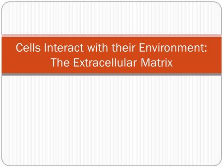 Cells Interact with their Environment: The Extracellular Matrix.