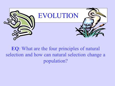 EVOLUTION EQ: What are the four principles of natural selection and how can natural selection change a population?