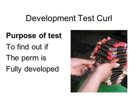 Development Test Curl Purpose of test To find out if The perm is