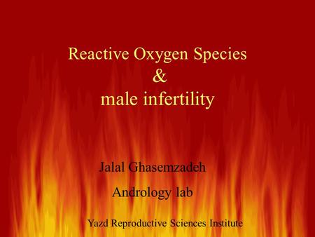 Reactive Oxygen Species & male infertility Jalal Ghasemzadeh Andrology lab Yazd Reproductive Sciences Institute.