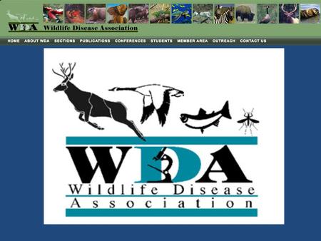 Wildlife disease Endangered Species Focus of the WDA Wildlife conservation Wildlife translocation Wildlife rehabilitation.