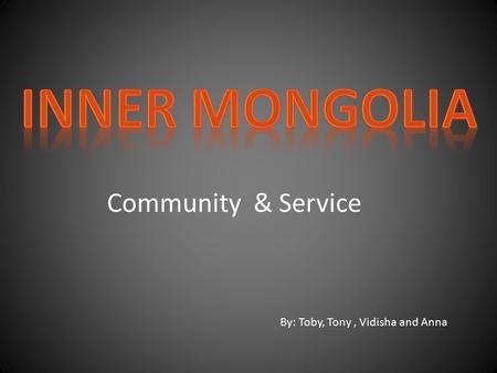 Community & Service By: Toby, Tony, Vidisha and Anna.