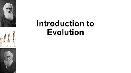 Introduction to Evolution. Who was Darwin? Charles Darwin was a drop-out medical student (from Edinburgh University) and a failed priest. In 1809 he was.