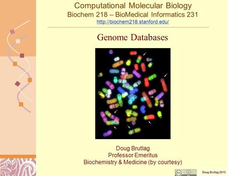 Doug Brutlag Professor Emeritus Biochemistry & Medicine (by courtesy) Genome Databases Computational Molecular Biology Biochem 218 – BioMedical Informatics.