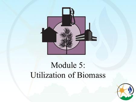Module 5: Utilization of Biomass. Objectives To be able to identify the woody biomass properties influencing utilization To be able to identify the three.