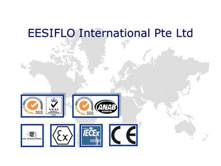 EESIFLO International Pte Ltd