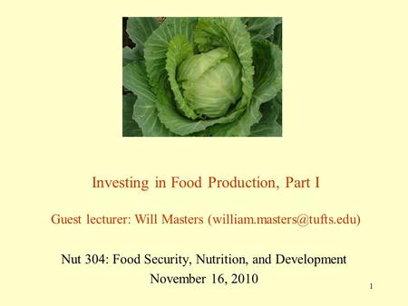 1 Nut 304: Food Security, Nutrition, and Development November 16, 2010 Investing in Food Production, Part I Guest lecturer: Will Masters
