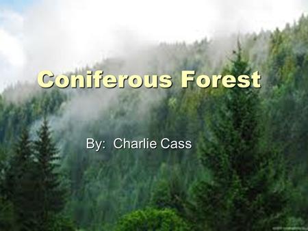 Coniferous Forest By: Charlie Cass By: Charlie Cass.
